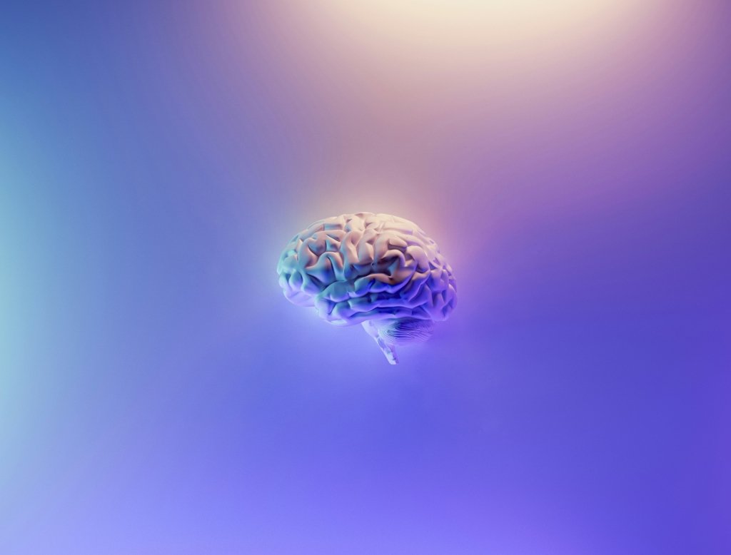 Brain Health and Nutrition: Boosting Cognitive Function and Immune Support Through Food