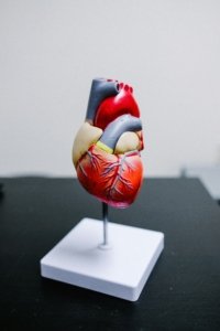 Cholesterol and HbA1c Management in Premenopausal Women: What You Need to Know
